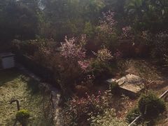 -攀枝花公园