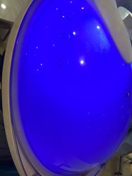 -碧莲盛·不剃发植发