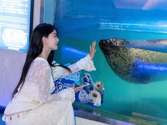 -重庆欢乐海底世界