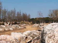 -春花秋色城市公园