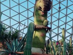 -上海辰山植物园
