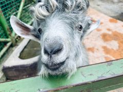 -杭州野生动物世界