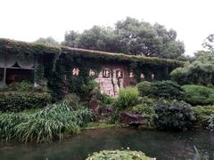 -中国茶叶博物馆(双峰馆区)