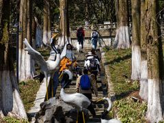 -莫干山风景区
