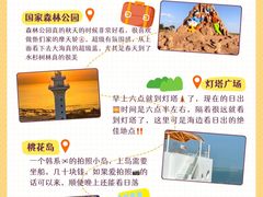 -日照海滨国家森林公园