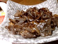 黑木耳-渝利重庆火锅