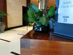 -上海浦东嘉里大酒店