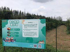 -前小桔亲子创意农场·草莓采摘·露营烧烤