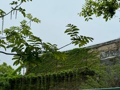 -白塘生态植物园