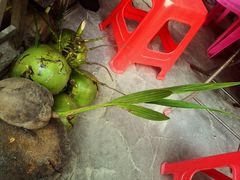 -东郊椰林