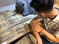 -小时光咖啡馆(开森度假森林店)