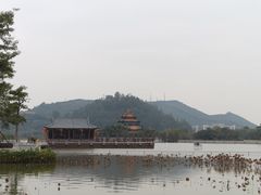-顺峰山公园