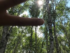 -塞罕坝国家级自然保护区