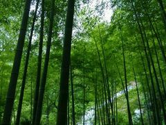-山沟沟景区