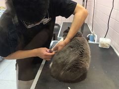 -FAELING PETS美天灵宠物(富力广场店)