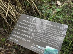 -海口火山口国家地质公园