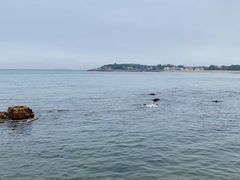 -青岛第二海水浴场