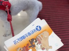 -派美特宠物医院·核磁CT·骨科肿瘤·疑难转诊(沈农禾丰店)