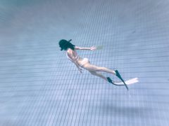 -重庆市奥林匹克体育中心-游泳跳水馆