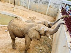 -西霞口神雕山野生动物世界