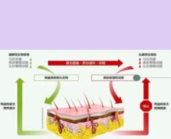 -天其美科学美肤·生发健康管理