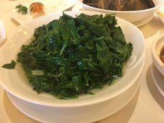 上汤枸杞叶-利苑酒家(合景国际金融广场店)