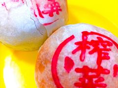 榨菜鲜肉月饼-泰康食品(南京东路店)