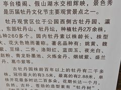 -洛阳市牡丹公园