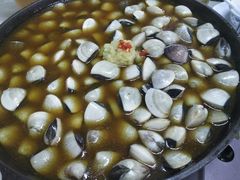 -顺德哥卜卜贝(旗舰店)