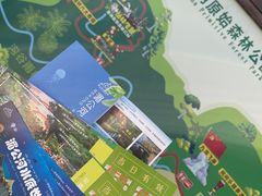 -西双版纳原始森林公园