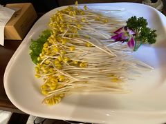 豆芽-山城鼎重庆老火锅(西安钟楼店)