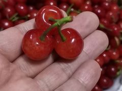 -菜园坝水果市场