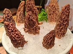 -蘑界·野生菌火锅(深业上城店)