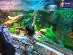 -沈阳海洋探索中心