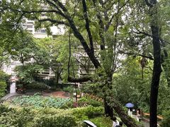 -香港大学
