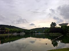 -上海佘山世茂艾美酒店