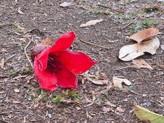 -荔枝公园(福田区)