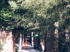 -兴教寺