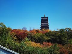 -牛首山文化旅游区