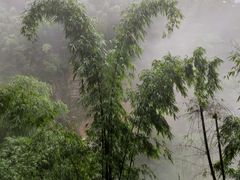 -蜀南竹海景区
