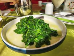 清炒穿心莲-同和居(月坛店)
