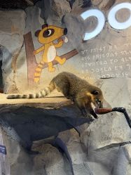 -Zoolung Zoolung动物主题公园(海信广场店)