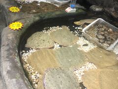 -郑庄脂渣海鲜楼(九水路店)