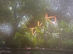 -腾冲洞山温泉村