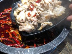 -销魂美蛙鱼头火锅(上海首店)