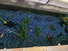 -雲际仙境足浴·影院式·养生·SPA(火车站店)