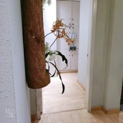 -香秀空间科技抗衰·美容中心