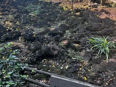 -海口火山口国家地质公园