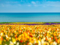 -青海湖国家重点风景名胜区