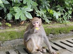 -黔灵山公园